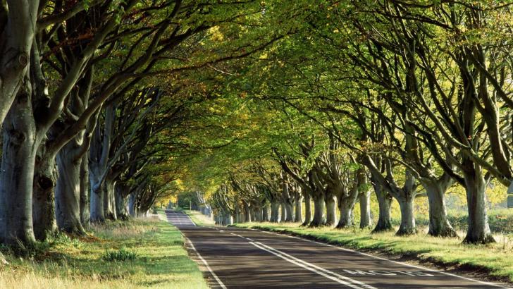 Ursachen von Schwindel